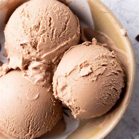 Best Vegan Chocolate Ice Cream Recipe Beaming Baker