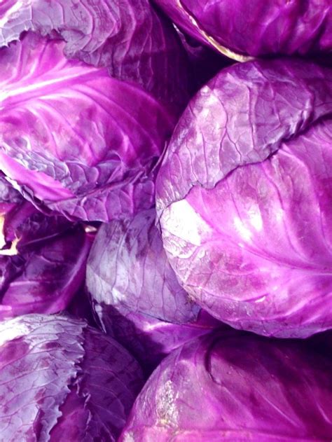 vegetable color purple things pinterest kål