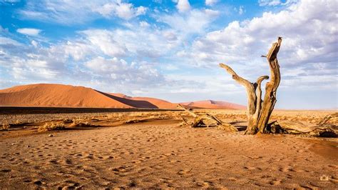 Sossusvlei Namibia Desert 4k Wallpaper Desktop