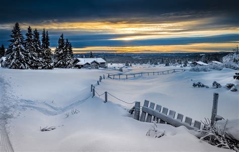 Wallpaper Winter Forest Snow The Fence Norway Lillehammer