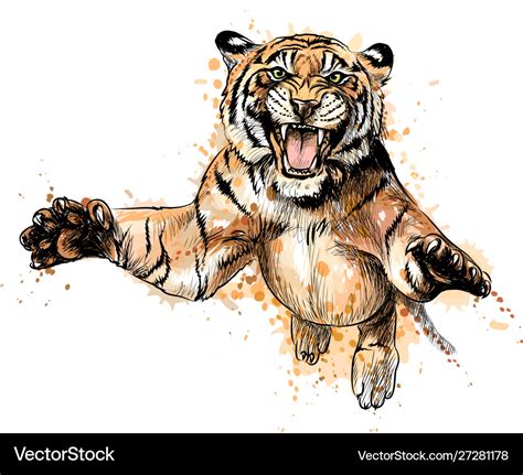 Portrait A Tiger Jumping From A Splash Royalty Free Vector