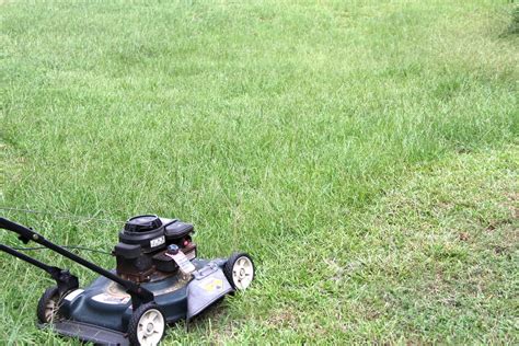 Mowing Grass Mowing Turfgrass With A Push Mower Photo By Flickr