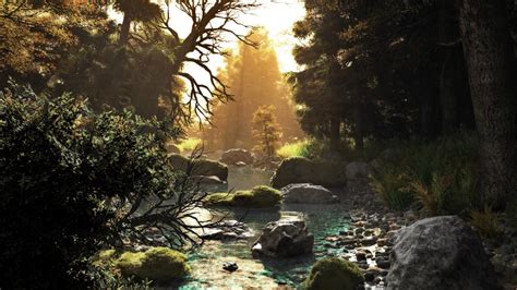 1920x1080 River Art Stream Nature River Stones Trees Forest