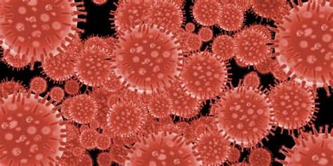 يُصيب فيروس كورونا الرئتين، وتظهر أعراض رئيسية هي: كيف ينتقل فيروس كورونا..القاتل الجديد للبشر؟
