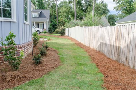 5 Questions To Ask Your Landscaper Verdant Landscaping