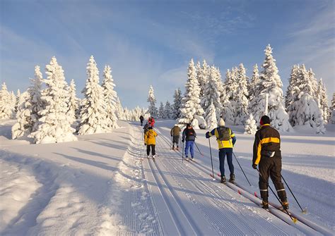 Cross Country Skiers Cross Country Skiers Near Lillehammer Rob