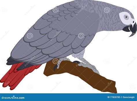 African Grey Parrot Or Congo Grey Parrot Wearing Eye Glasses Standing