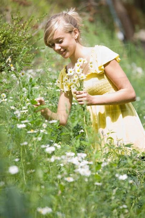 Young Girl Picking Flowers Stock Photo Dissolve