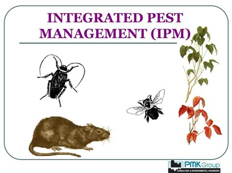 Ppt Integrated Pest Management Ipm Powerpoint Presentation Id3757962