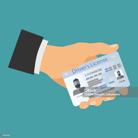 Drivers License Stock Illustration Download Image Now Adult