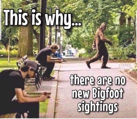 Pin By Derrick Anderson On Funny Bigfoot Sightings Memes Funny Pictures