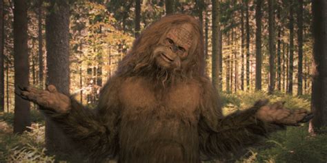 Bigfoot Sightings Are Still A Thing And This Woman Has The Evidence To