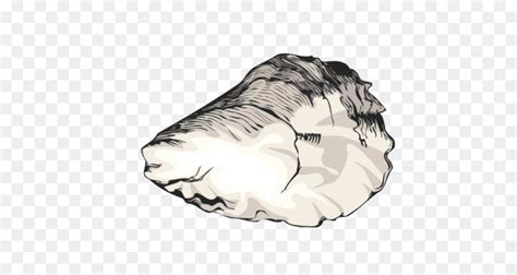 Oysters Clip Art Library