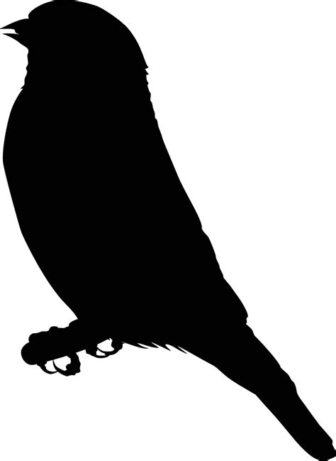 Download Silhouette Nature Bird Royalty Free Vector Graphic Pixabay