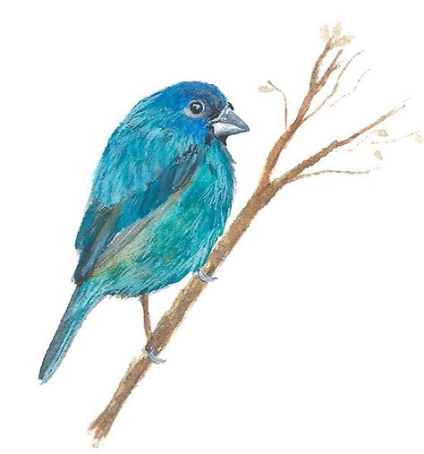 Blue Bird Indigo Bunting Watercolor Illustration Posters By Milaartandcraft Redbubble