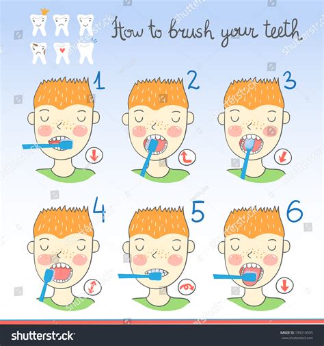 Instructions On How Brush Your Teeth 스톡 벡터로열티 프리 199210595 Shutterstock
