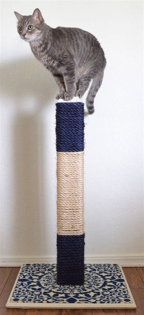 Diy Cat Scratching Post That Literally Lasts For Years