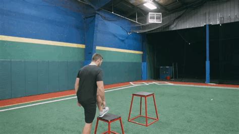 Box Jump Plyo Workout  By Hockey Training Find And Share On Giphy