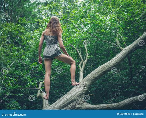 Barefoot Young Woman Standing On Fallen Tree Stock Photo Image 58324586