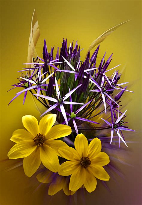 It can grow up to 12 inches or taller and produces purple flowers. Yellow and purple flowers by avmurray