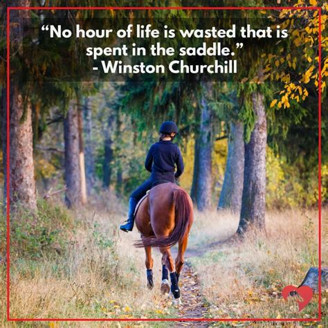 15 Greatest Quotes About Horses Of All Time Inspirational Horse