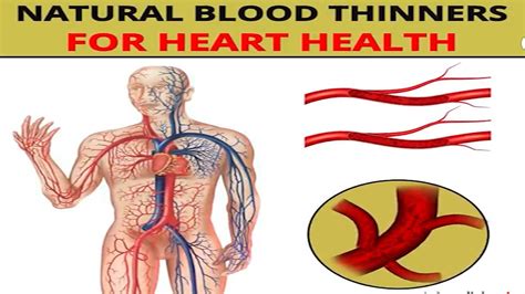 Natural Blood Thinners For Heart Health Kranti Odisha Health