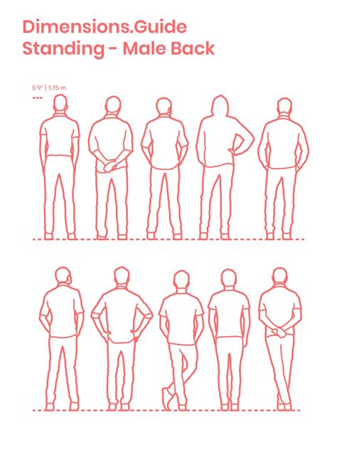 Figure Drawing Standing Printable Design Tips