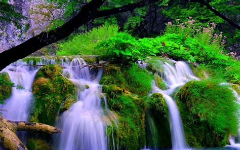 Forest Waterfalls Wallpapers Hd Desktop And Mobile