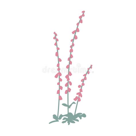 Dibujos De Doodle Digitalis O Foxglove Púrpura Planta Medicinal Y