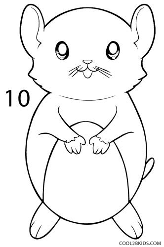 In hamsters interesting cute appearance, they are particularly distinguished by large cheeks. How to Draw a Hamster (Step by Step Pictures) | Cool2bKids