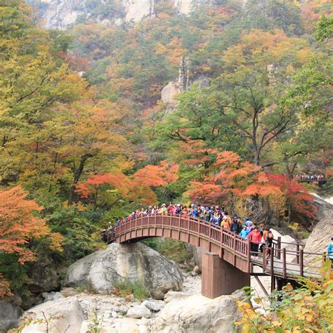 Seoraksan National Park Sokcho All You Need To Know Before You Go