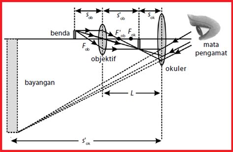 Pembesaran Mikroskop Mata Berakomodasi Maksimum