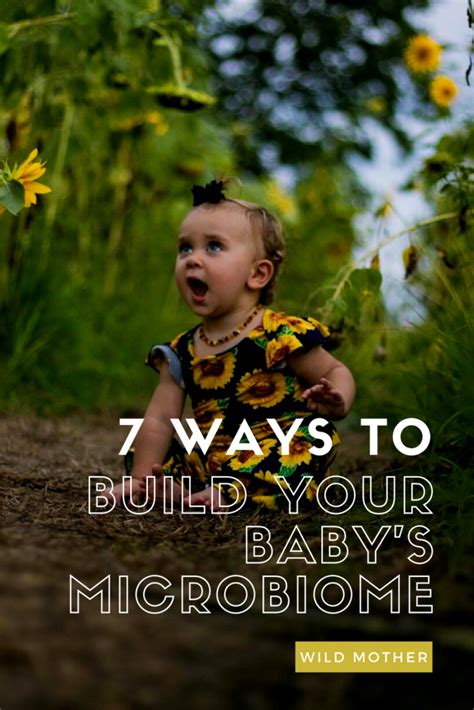 How To Build Your Babys Microbiome Birth And Beyond Wild Mother