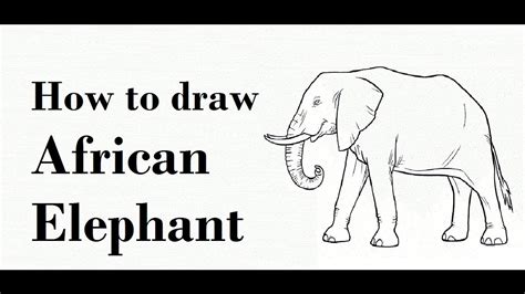African Elephants Drawing