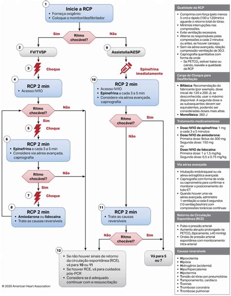 American Heart Association 2020 Português Pdf Aha 2020 22brasil