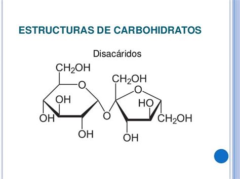 Metabolismo De Los Carbohidratos Mind Map