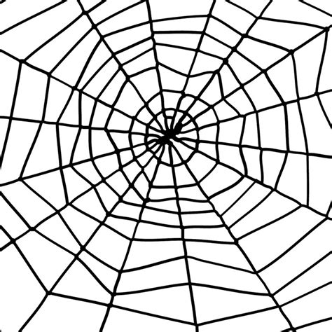 Paukova mreža s paukom XL veličine
