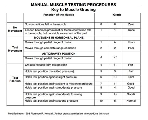 Muscle Strength Testing And Manual Muscle Grades