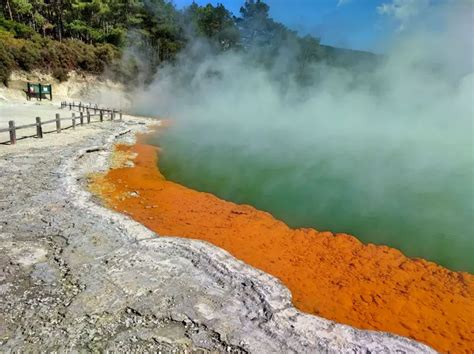 Awesome Days In Rotorua New Zealand