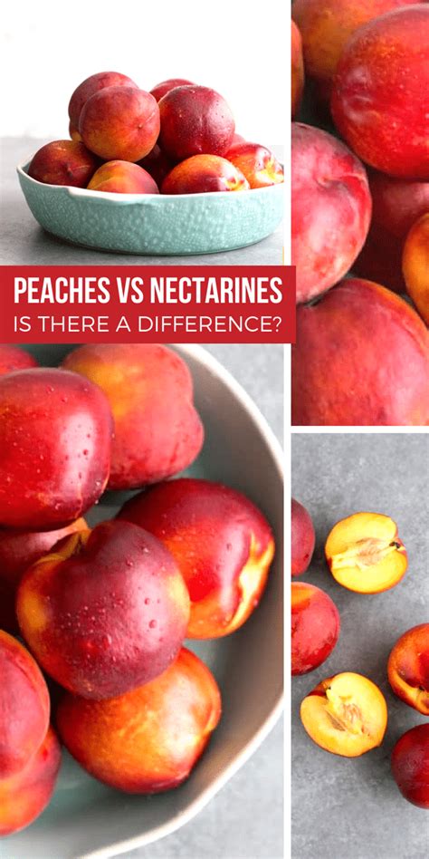 Nectarine Vs Peach Twin Fruit