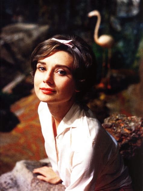 Audrey Hepburn Photo Audrey Hepburn Audrey Hepburn Photos Audrey