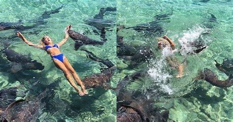 Instagram Model Bitten By Shark During Photo Shoot Petapixel
