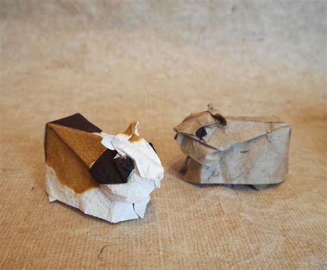 【origami 】guinea Pig 2021 モルモット 2021 創作・折り：小林弘明 【origami 】 Flickr