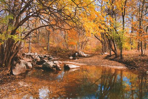 Autumn In An Ozarks Woods Photograph By Allin Sorenson Fine Art America
