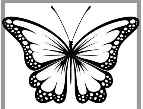 Berlatih menggambar sketsa dapat meningkatkan imajinasi dan daya kreativitas anak. Gambar-Sketsa-kupu-kupu-5 - Hewan.id
