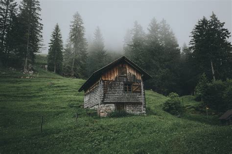 Wallpaper Trees Landscape Forest Nature Building Grass House