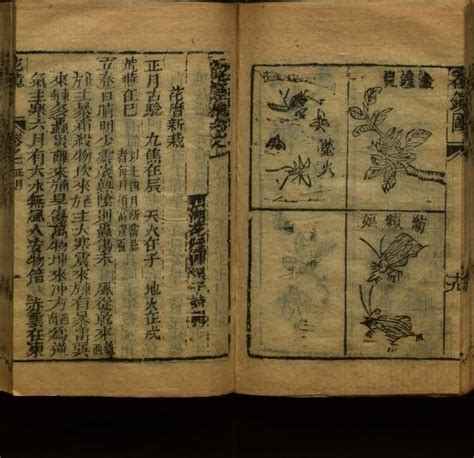 Bi Chuan Hua Jing Liu Juan Juan Shou Tu Yi Juan Juan 1 Library