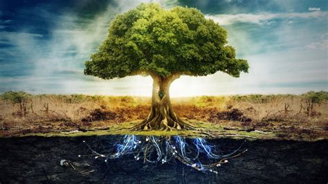 Tree Of Life Art Wallpaper Images And Photos Finder