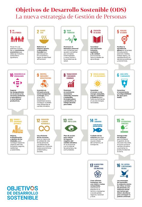17 Objetivos De Desarrollo Sostenible ODS Estas Son Las Metas A