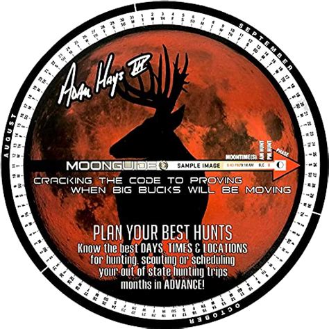 Find The Best Moon Phase For Deer Hunting Picks And Buying Guide Licorize